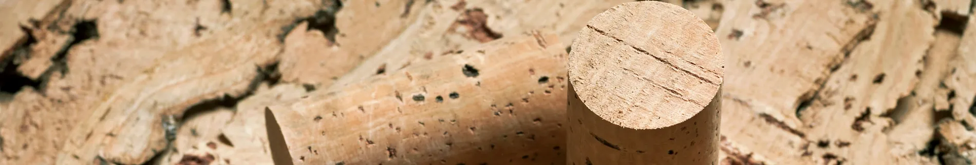 cork close up